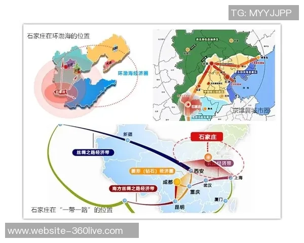 大连与石家庄比赛全场数据分析及精彩瞬间回顾